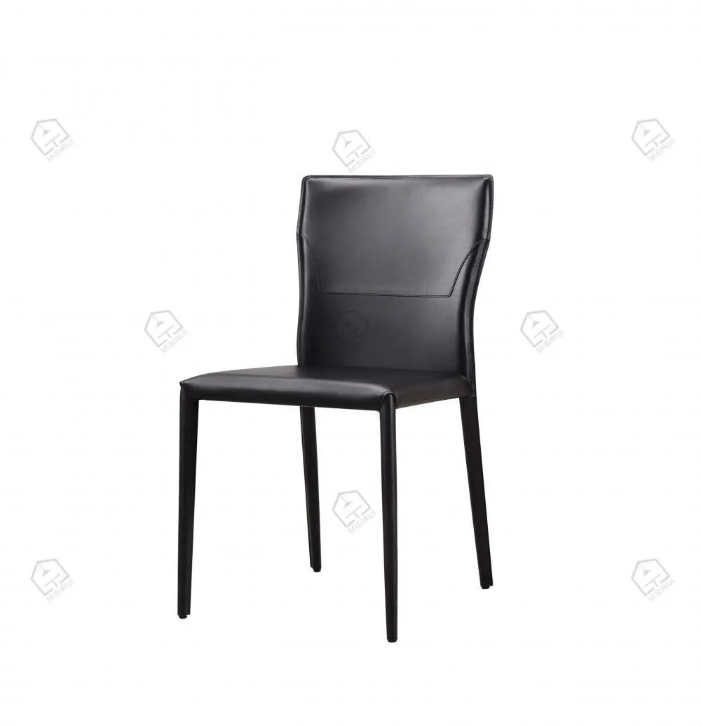 Schwaarz Saddle Lieder Armesslos Iesszuch 1