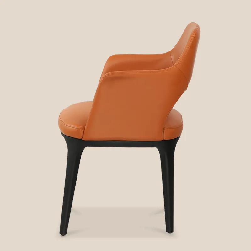 Dining Room Furniture Brands by MISIRUI 5