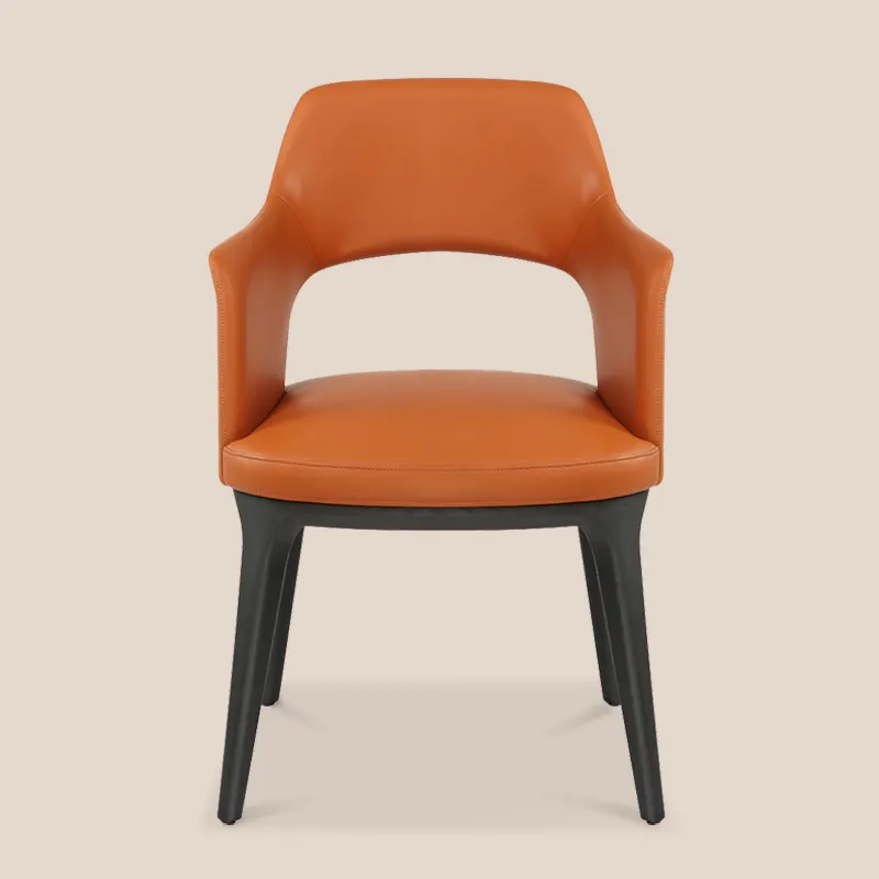 Dining Room Furniture Brands by MISIRUI 2